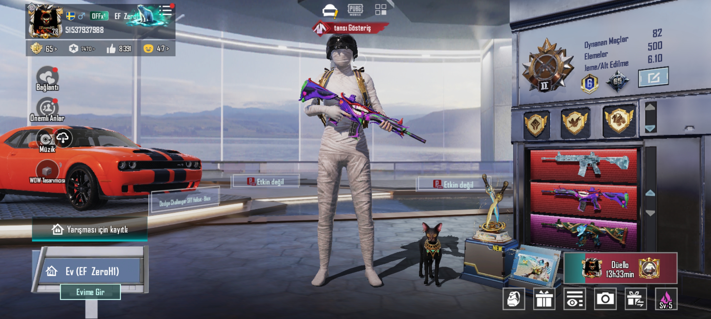 Pubg mobile